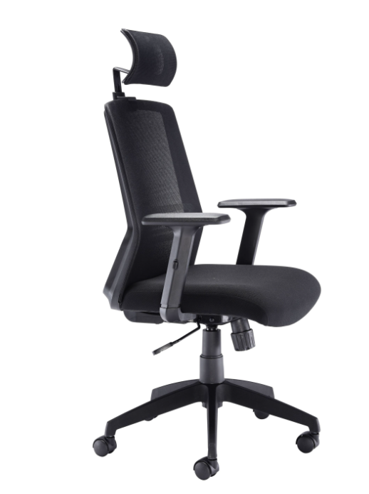 Denali High Back Mesh Office Chair