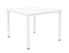 Fraction Infinity Meeting Table MEETING TC Group 